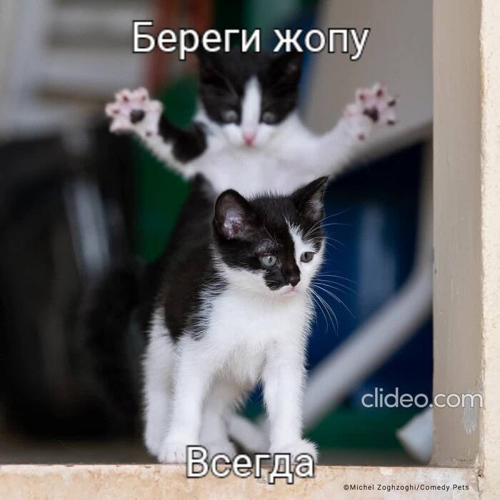 Всегда...