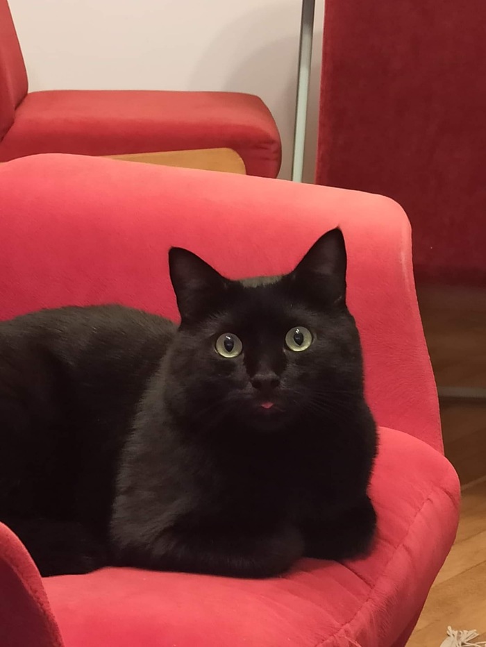 Удивлённое