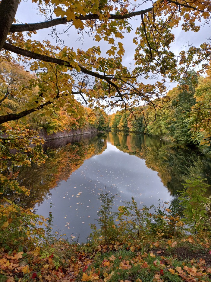 Золотая осень во всей красе!