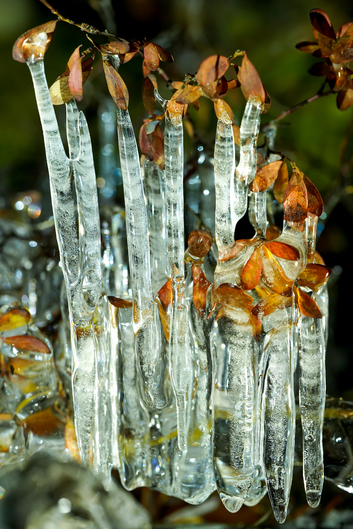 Слезы по лету