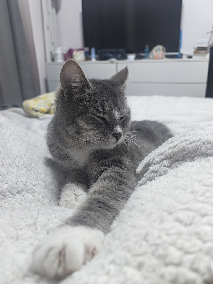 Ещё в Питере