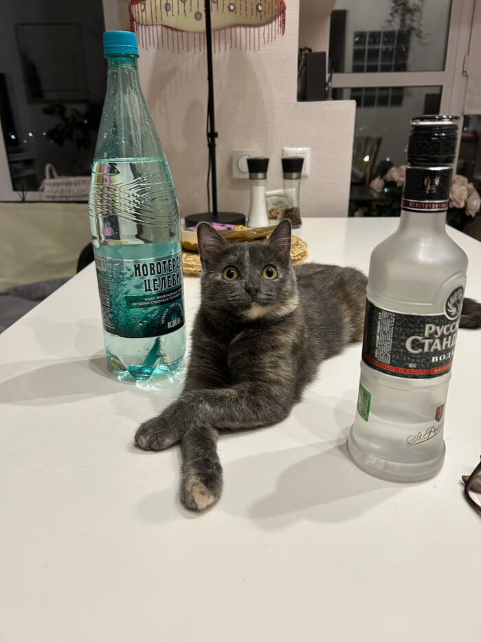 А где рыбова?