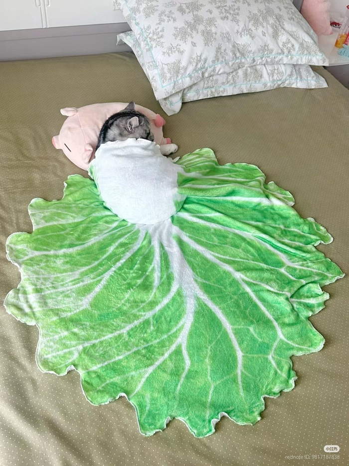 :  ". ()" : 7703380158