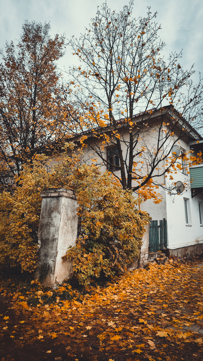 Осеннее утро в Ростове Великом