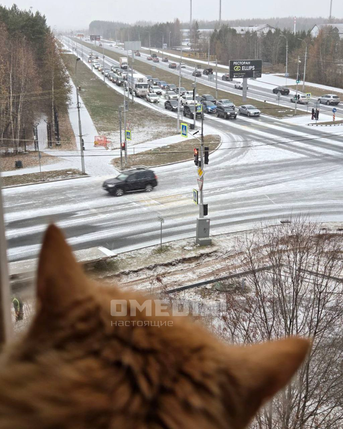 Вот и в Сургуте снег