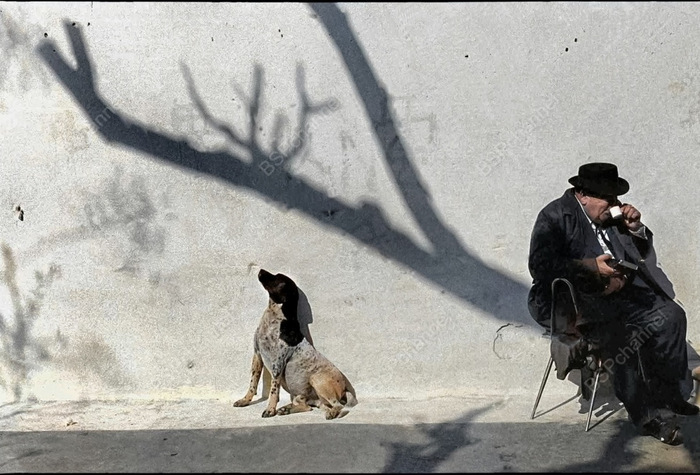 Фотограф: Никос Экономопулос