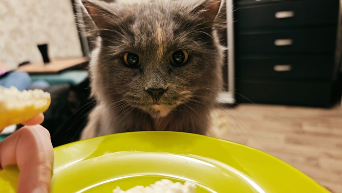 Стоит только "Хрусть"