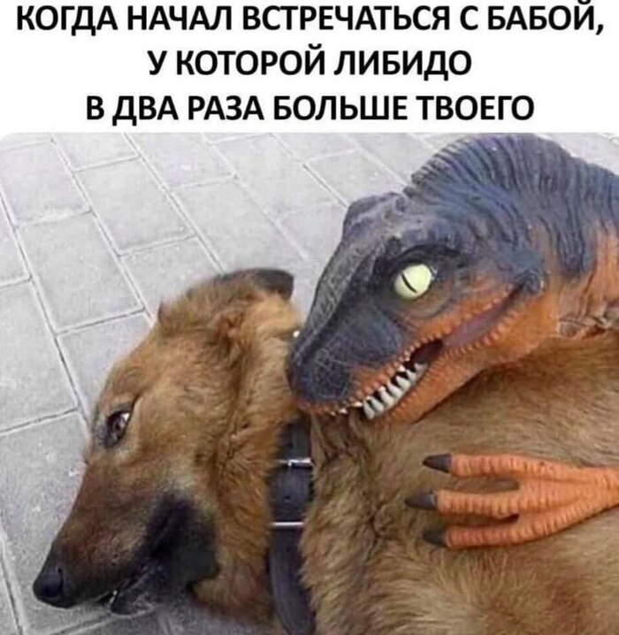 Высокое либидо