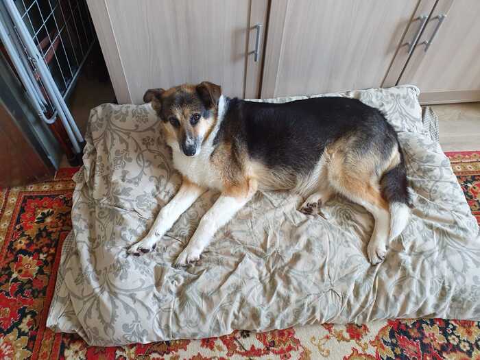 ��������� ��������� �� ��������) 