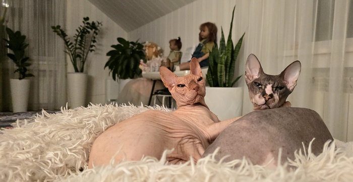 Третий - лишний