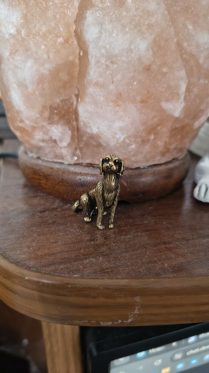 Она сидит на вашей полке, уронив уши и закрутив хвост, как бы говоря: «Я никуда не спешу. Я жду тебя».