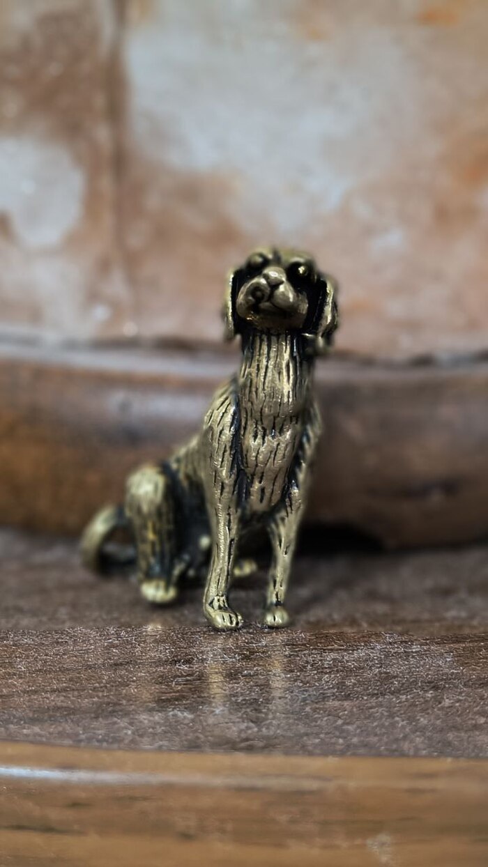 В её доброжелательном молчании — обещание: что бы ни случилось, ты не один. Просто положите руку рядом, и вы почувствуете тепло.