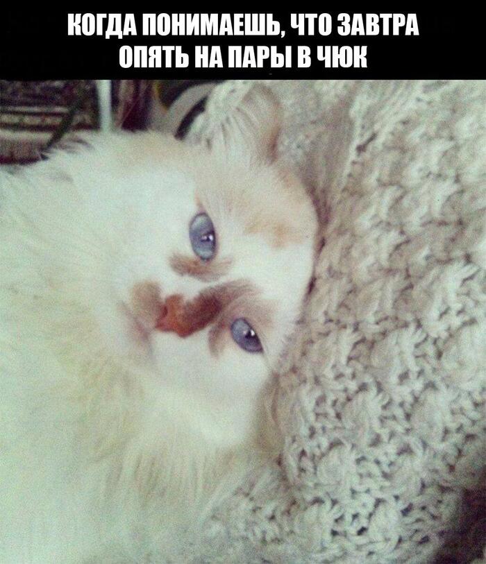 Печалька печальная...