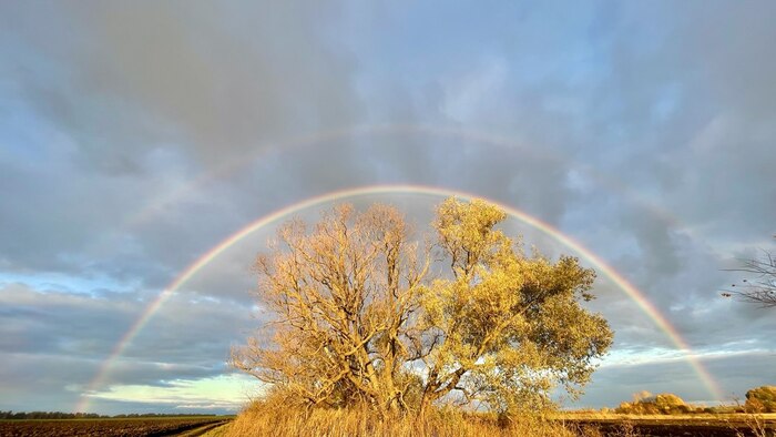 После дождя всегда будет свет