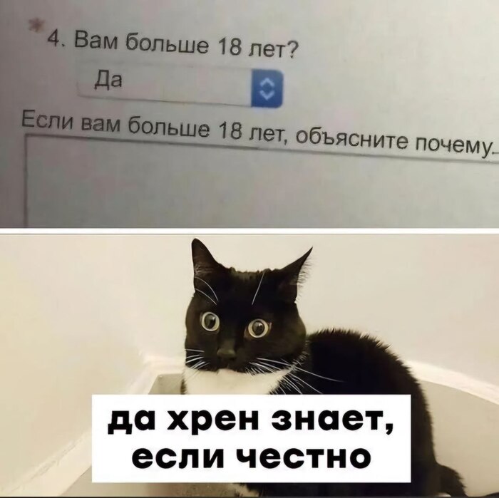 Как-то само собой получилось...