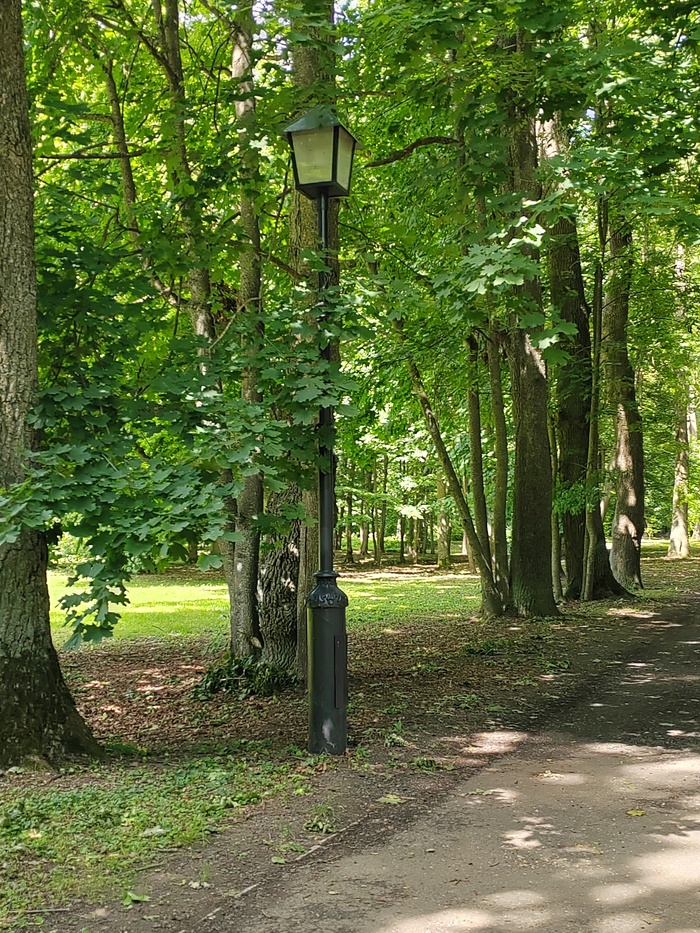 Фонарь в Марысином парке