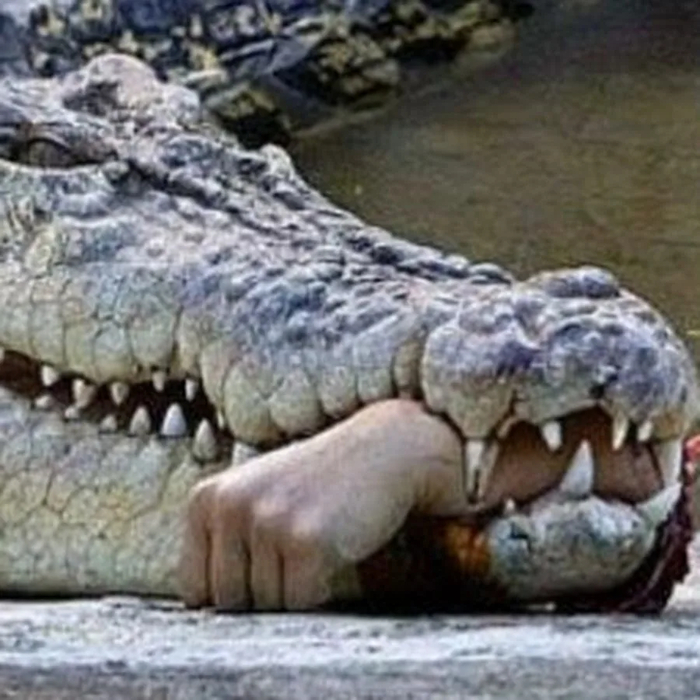 Олимпиада в Австралии 2032