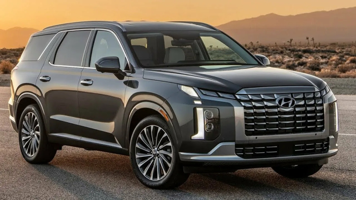     .   ,       K5  Palisade