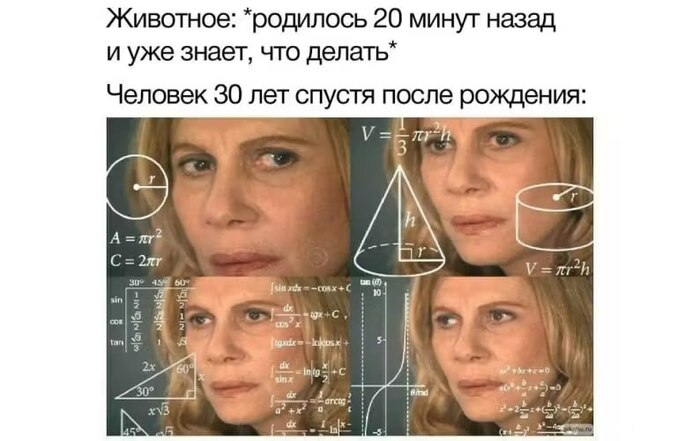 Реальность