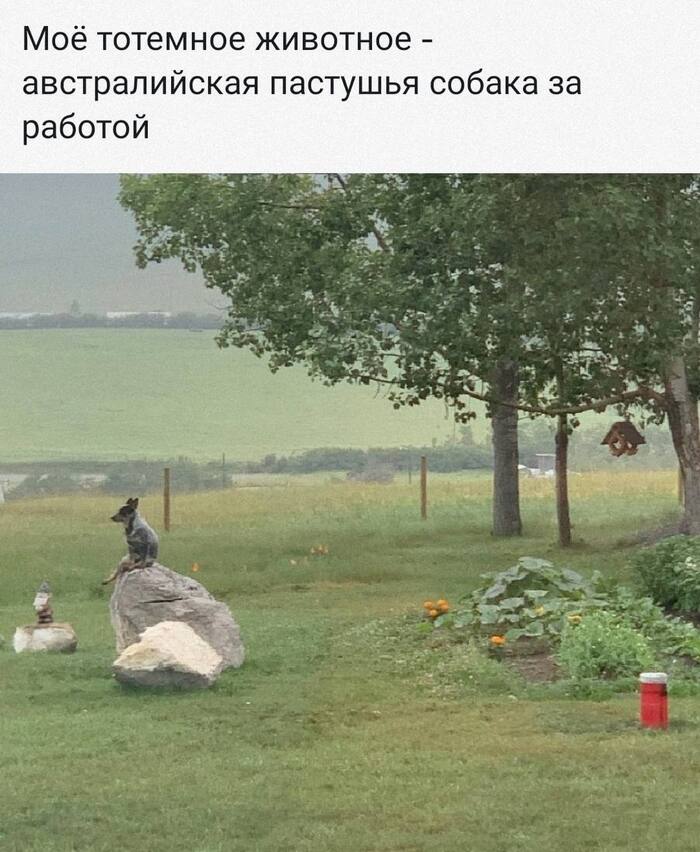 Тотемное животное