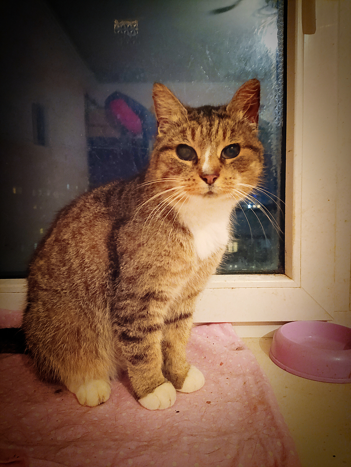 Новая подопечная