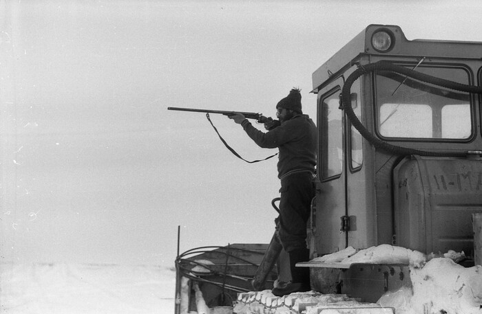 Иван объясняет зайцам, что нужно вести себя потише.