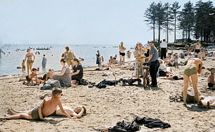 Автор: А. Ю. Маслов Автор: А. Ю. Маслов