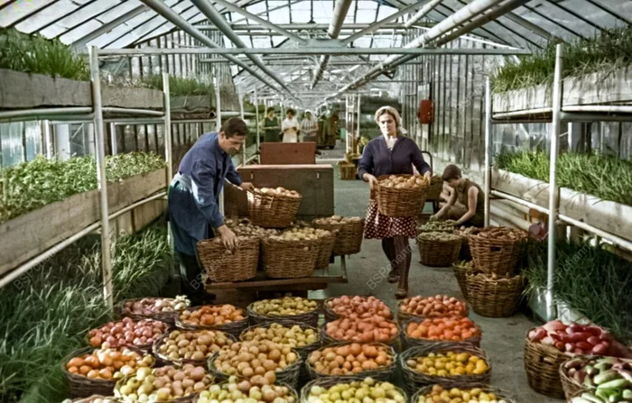 Автор: А. Жигайлов Автор: А. Жигайлов