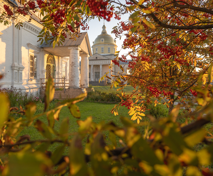 Костры рябин