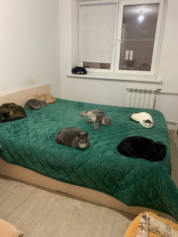 Маша и её кавалеры (разумеется Машенька в центре), а справа в уголке скромненько дозволено расположиться Машиной подруге Дюймовочке.