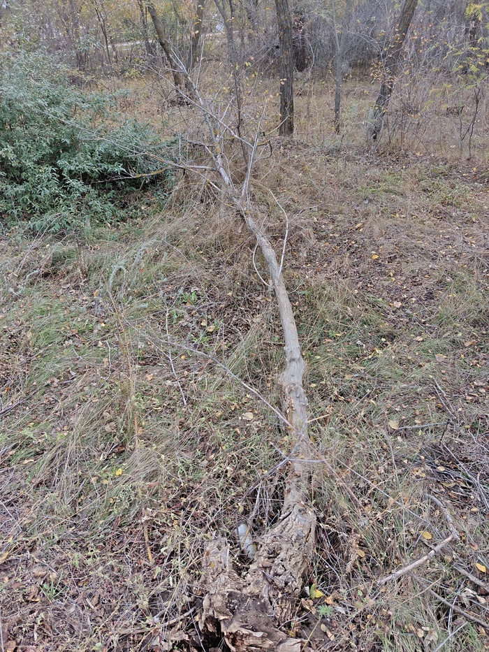 Начало и конец жизни