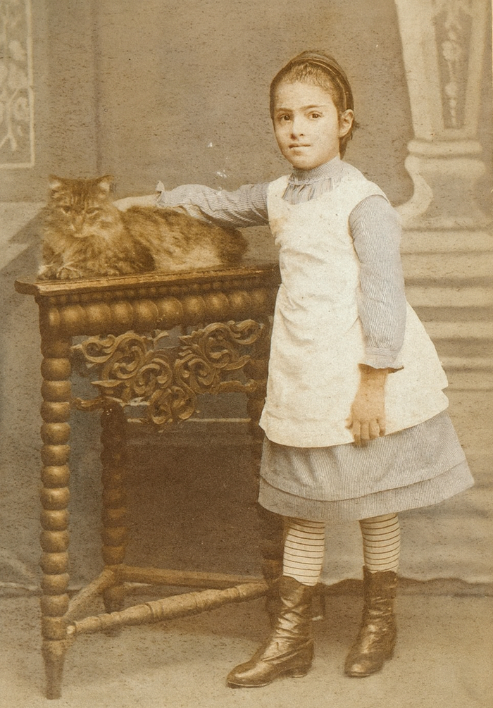 18851890, .   .  . .