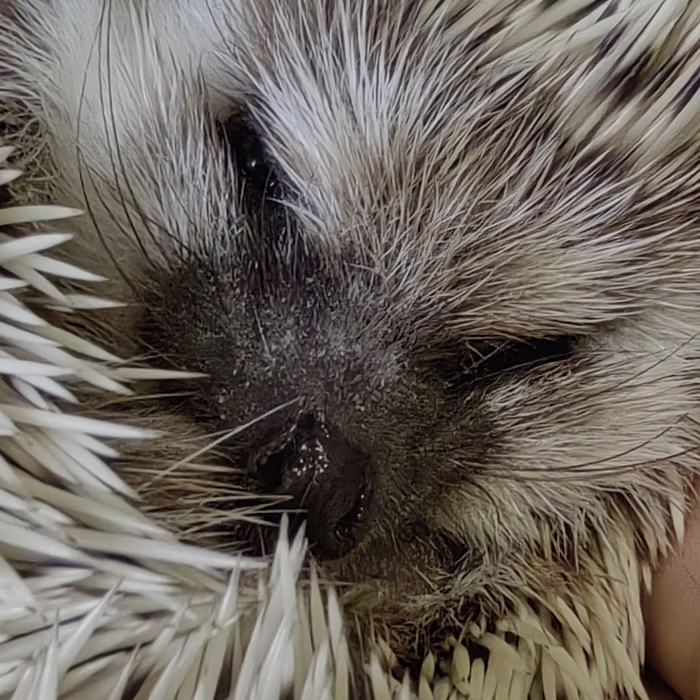 Ответ на пост «Просто хочу поделиться фотографией, которую у себя нашел а архиве»