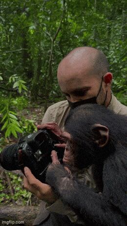 Из цикла "Человек с фотоаппаратом"