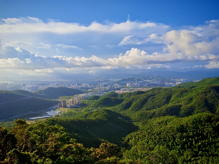 Вид с канатки парка Феникс.