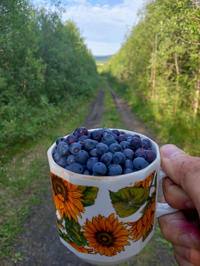 Ответ на пост «Ответ на пост "Просто хочу поделиться фотографией, которую у себя нашел а архиве"»