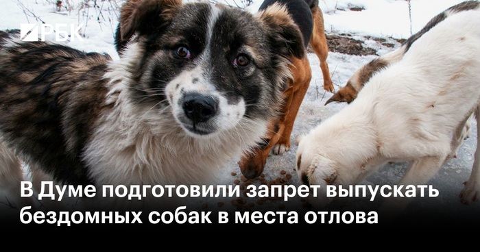    <!--noindex--><a href="https://pikabu.ru/story/reshitelnaya_vlast_nikogda_ne_dopustit_raskola_13330747?u=https%3A%2F%2Fwww.rbc.ru%2Fpolitics%2F27%2F02%2F2025%2F67c0426b9a7947ed588943d8&t=https%3A%2F%2Fwww.rbc.ru%2Fpolitics%2F27%2F02%2F2025%2F67c0426b9a7947ed58894...&h=20795f86f55a0c7873b4abe3118e432b0a2e5fe1" title="https://www.rbc.ru/politics/27/02/2025/67c0426b9a7947ed588943d8" target="_blank" rel="nofollow noopener">https://www.rbc.ru/politics/27/02/2025/67c0426b9a7947ed58894...</a><!--/noindex-->?