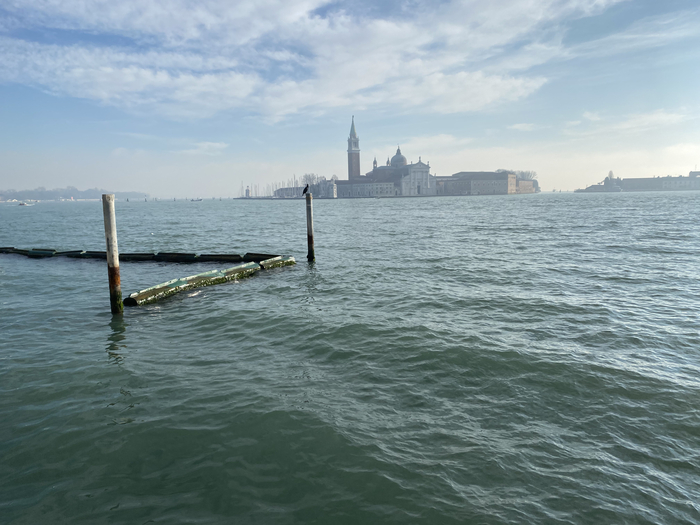 Ответ на пост «Просто хочу поделиться фотографией, которую у себя нашел а архиве»