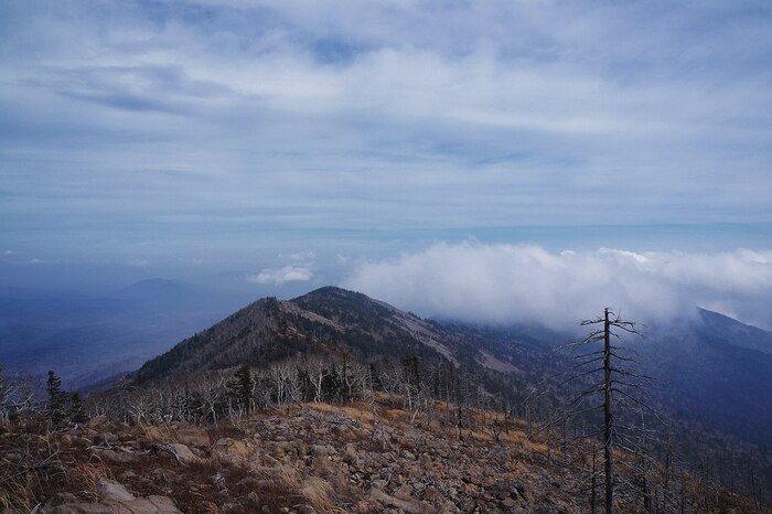 Гора Литовка (Фалаза) расположена в южном Сихотэ-Алине, является второй по высоте вершиной Ливадийского хребта. Через вершину горы проходит граница между Шкотовским и Партизанским районами Приморского края. Гора имеет две вершины на расстоянии около 500 м.