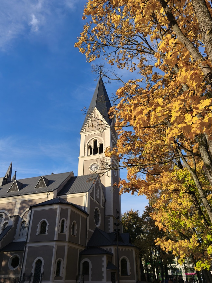 Кукольный театр в центральном парке