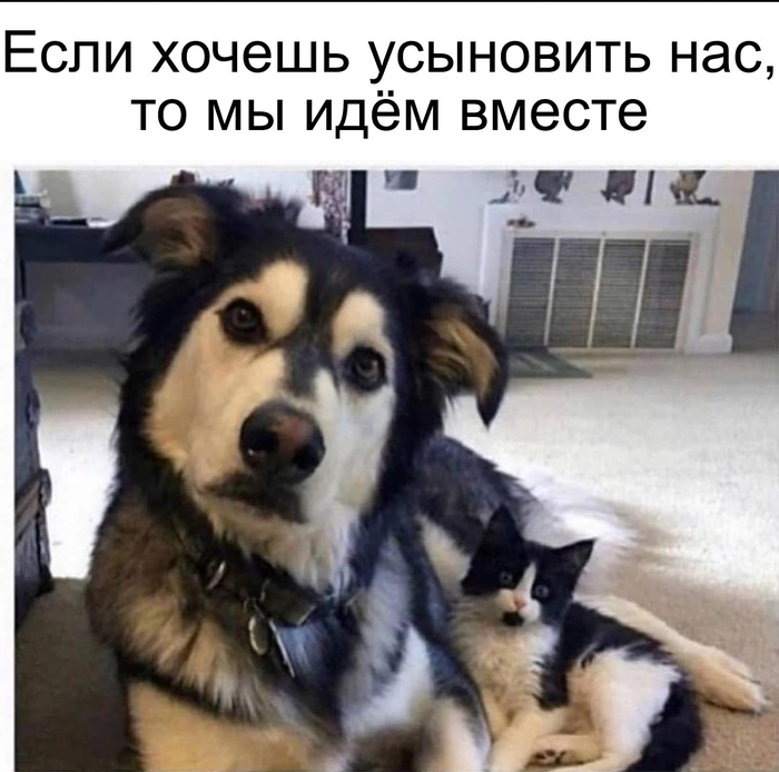   )))