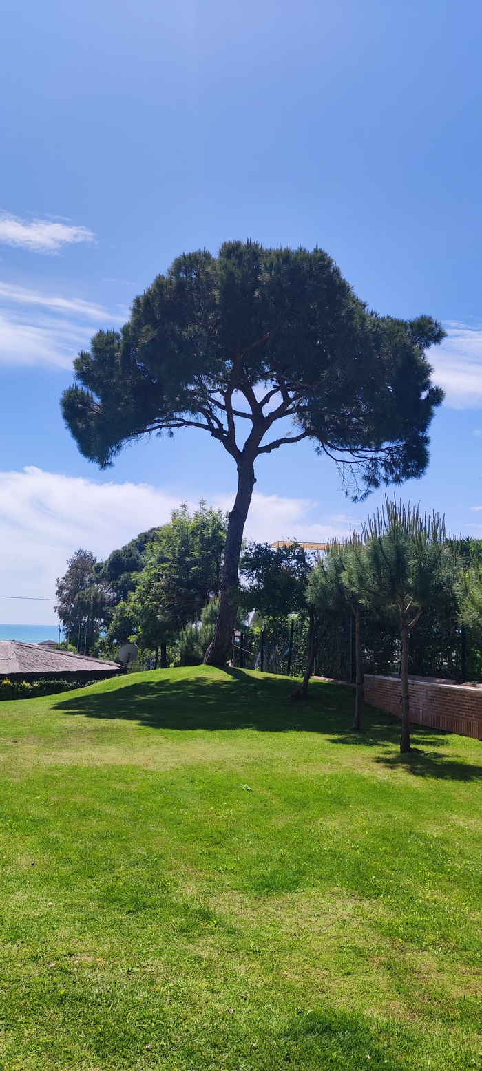 Фото из архива