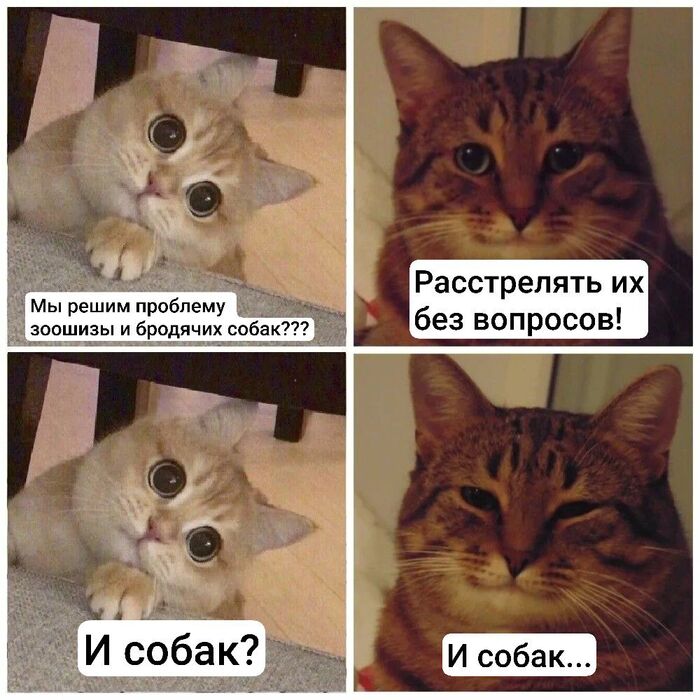 Ответ на пост «Зоошиза»