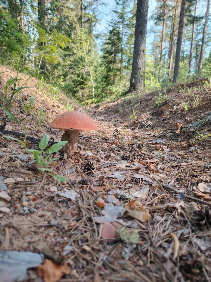 Фото из архива.)