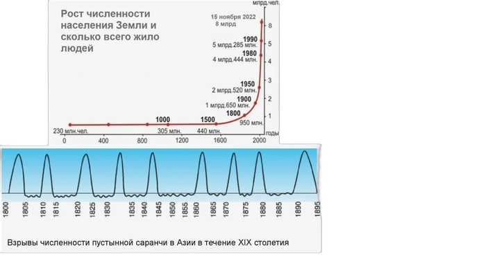 Занимательная инфографика