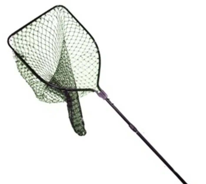   .  ,    ,   ,    .    ,    .     .        .