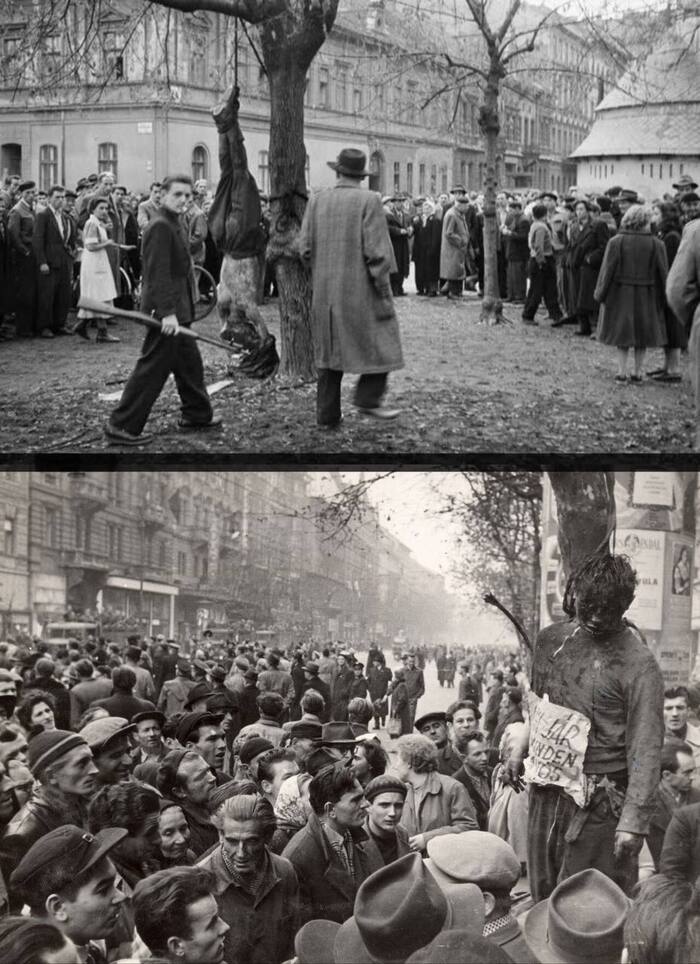    &quot; &quot; 1956 