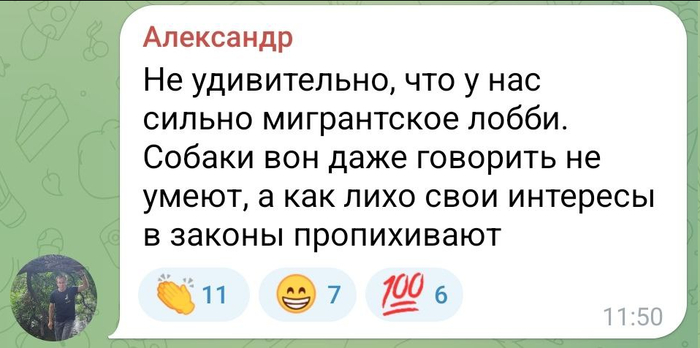 Про собачек. Изучаем закон