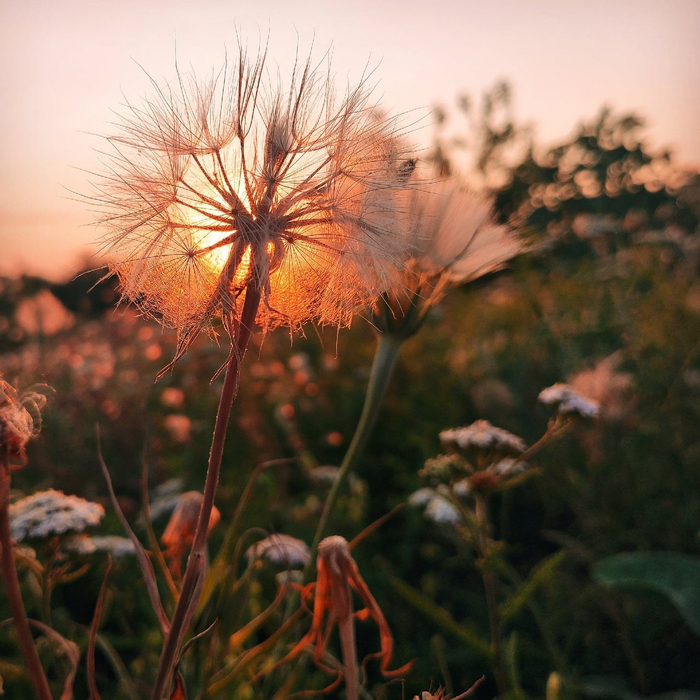 Ответ на пост «Просто хочу поделиться фотографией, которую у себя нашел а архиве»
