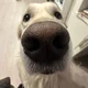 ����� ����� ������ ���� �����������
